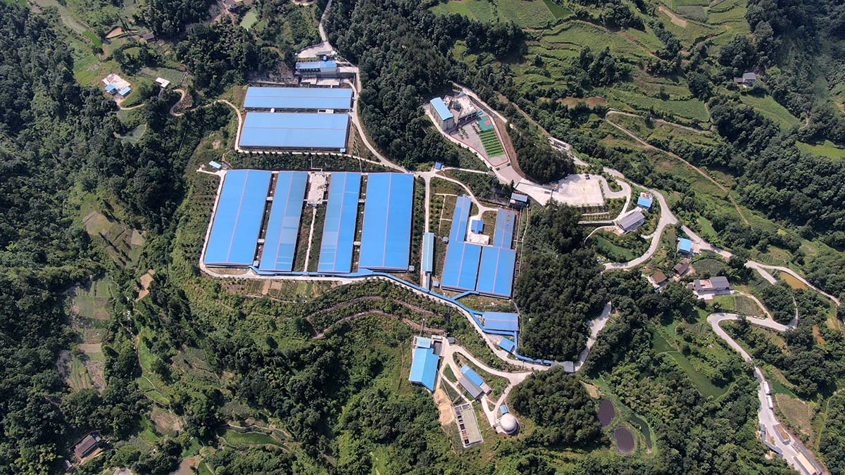 自動(dòng)雙量程 分析天平PTY系列